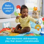 Fisher-Price 3-In-1 Kick & Sway Activity Gym, Baby Play Mat & Sensory Toys For Newborn Developmental Play - Image 5