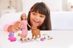 Barbie Doll and Pets - Image 7