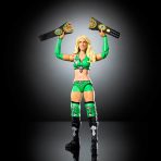 WWE Elite Collection Legends Action Figure & Accessories Set, Assorted* - Image 16
