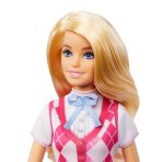 Bundle: Barbie Malibu Doll & Barbie Show Horse. - Image 5