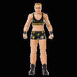 WWE Basic Action Figure - Assorted*