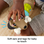 Fisher-Price Fp Pets Click & Spin Activity Pup Fine Motor Sensory Toy For Babies - Image 4