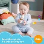 Fisher Price Clack & Quack Goose Baby Toy With Fine Motor Activity For Newborns - Image 2