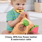 Fisher-Price Snuggly Snacky Capybara Plush Baby Sensory Toy With Teether & Rattle For Newborns - Image 4
