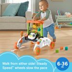 Fisher-Price 2-Sided Steady Speed Panda Walker Baby & Toddler Learning Toy With Music & Blocks - Image 2