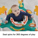 Fisher-Price Baby Bouncer Whimsical Forest Jumperoo Activity Center With Music And Lights - Image 2
