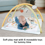 Fisher-Price Simply Senses Newborn Gym Baby Activity Mat With 6 Sensory Toys - Image 3